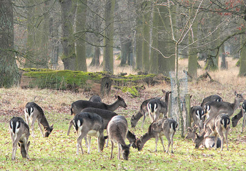Tiergarten Hannover Kirchrode